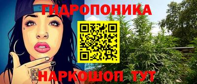 jwh Будённовск