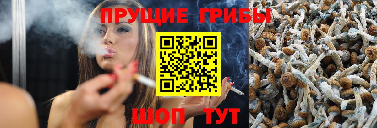 Королёв  Псилоцибиновые грибы ЛСД  Галлюциногенные грибы Psilocybine cubensis  Вход с VPN 