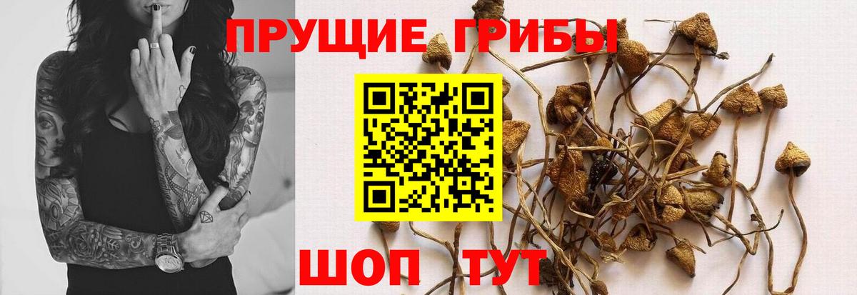 NBOMe  COCAIN  Экстази  Вход с VPN  Гашиш  МАРИХУАНА  Королёв  Меф МЯУ МЯУ  