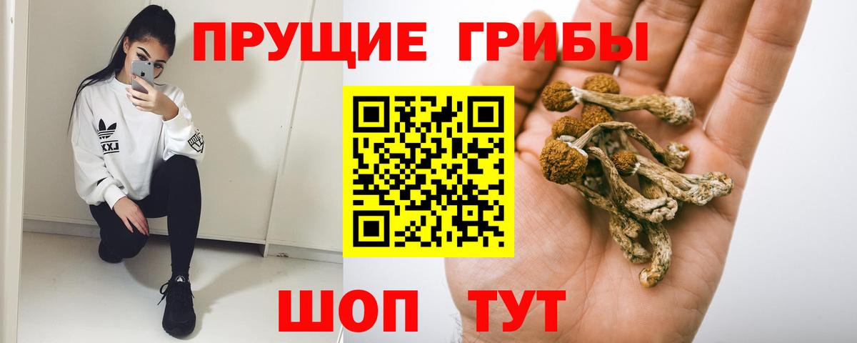 Галлюциногенные грибы мицелий Королёв